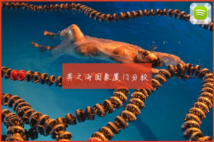 弈之海国象厦门分校