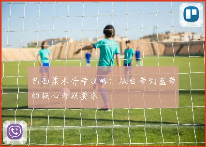 巴西柔术升带攻略:从白带到蓝带的核心考核要求