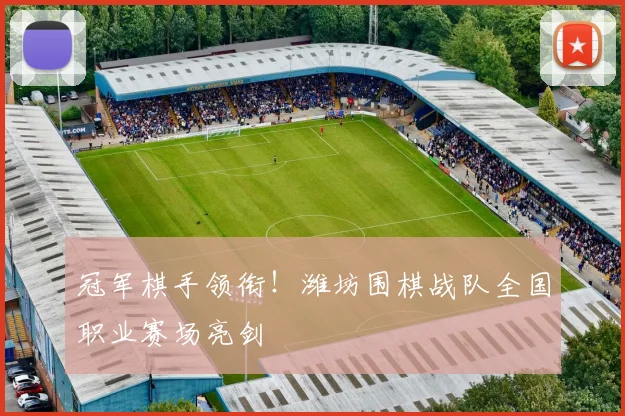 冠军棋手领衔!潍坊围棋战队全国职业赛场亮剑