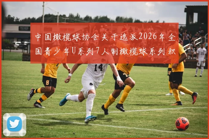 中国橄榄球协会关于选派2026年全国青少年U系列7人制橄榄球系列积分赛浙江宁海站技术官员安排的通知