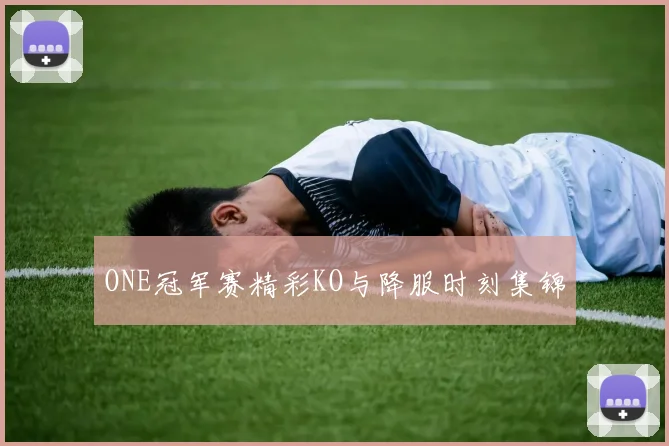 ONE冠军赛精彩KO与降服时刻集锦