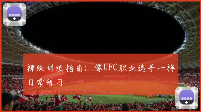 裸绞训练指南：像UFC职业选手一样日常练习
