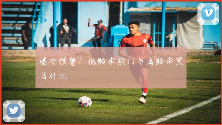 爆冷预警？低赔率热门与高赔率黑马对比