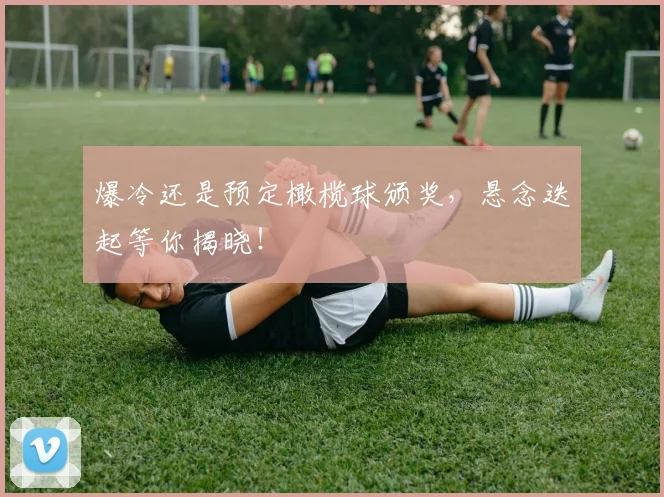 爆冷还是预定橄榄球颁奖,悬念迭起等你揭晓!