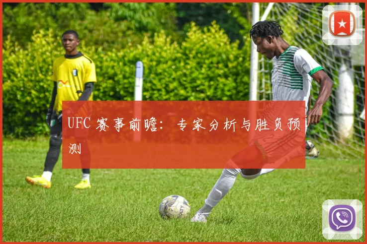 UFC 赛事前瞻:专家分析与胜负预测