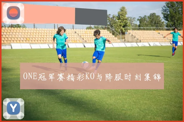 ONE冠军赛精彩KO与降服时刻集锦
