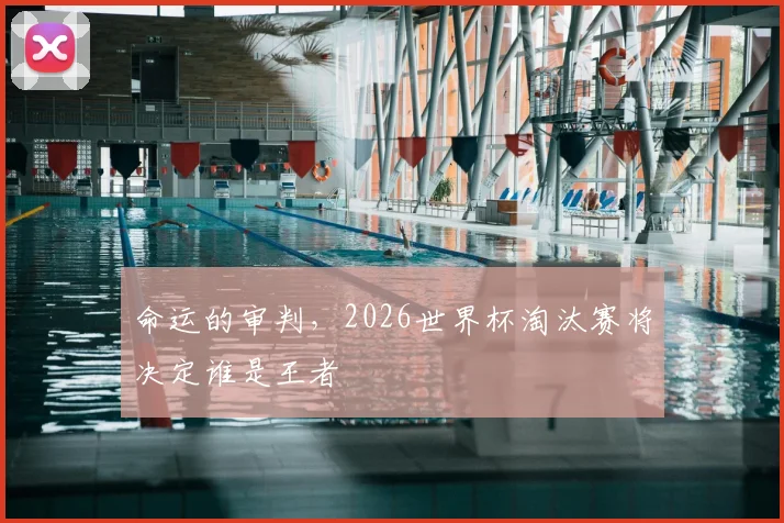 命运的审判,2026世界杯淘汰赛将决定谁是王者